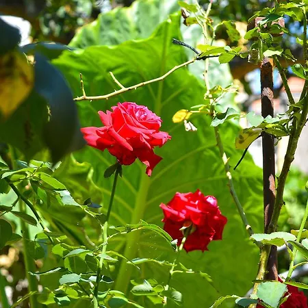 The Secret Garden Relais 3*